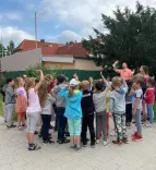 Schmetterlinge 2